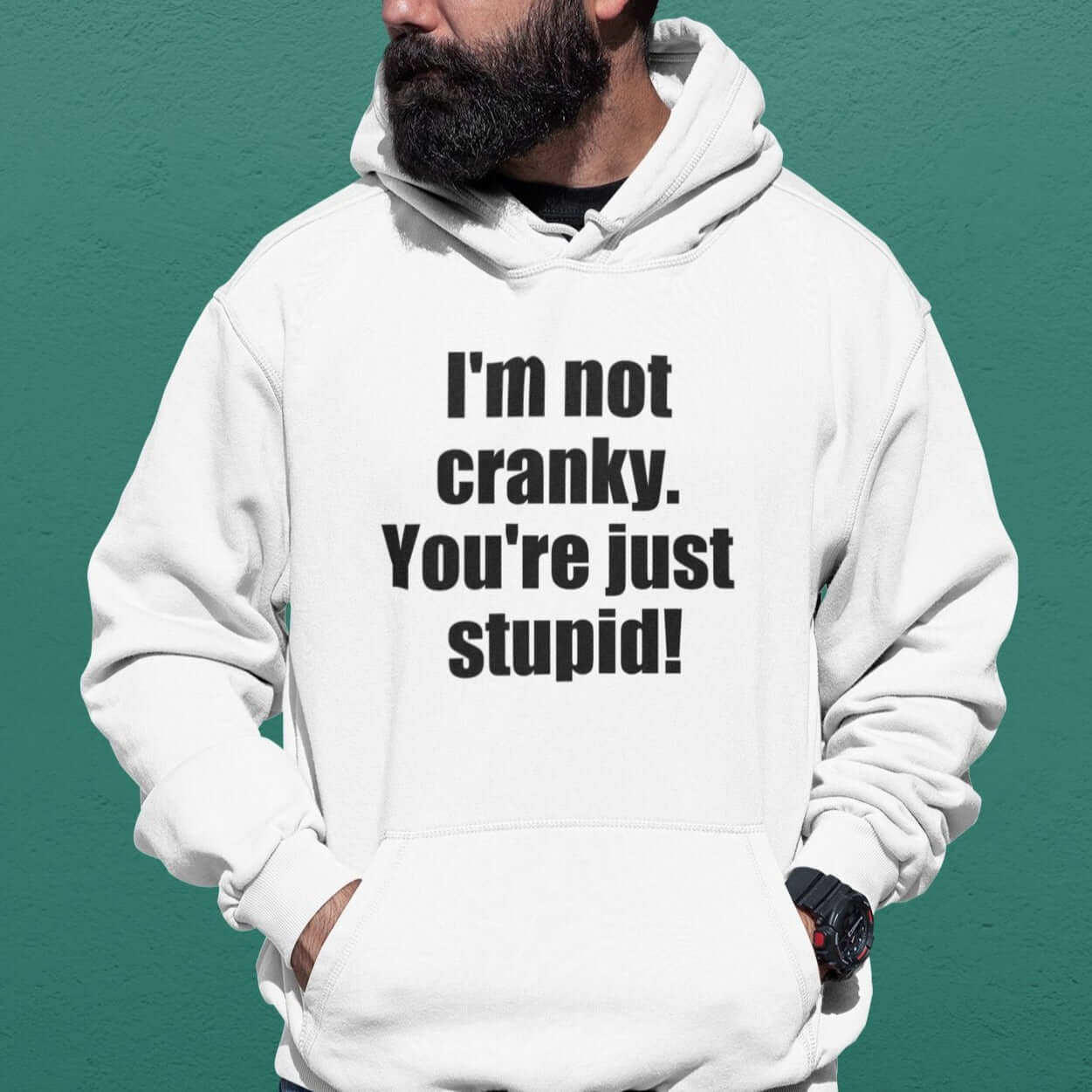 I'm not cranky you're just stupid funny hoodie