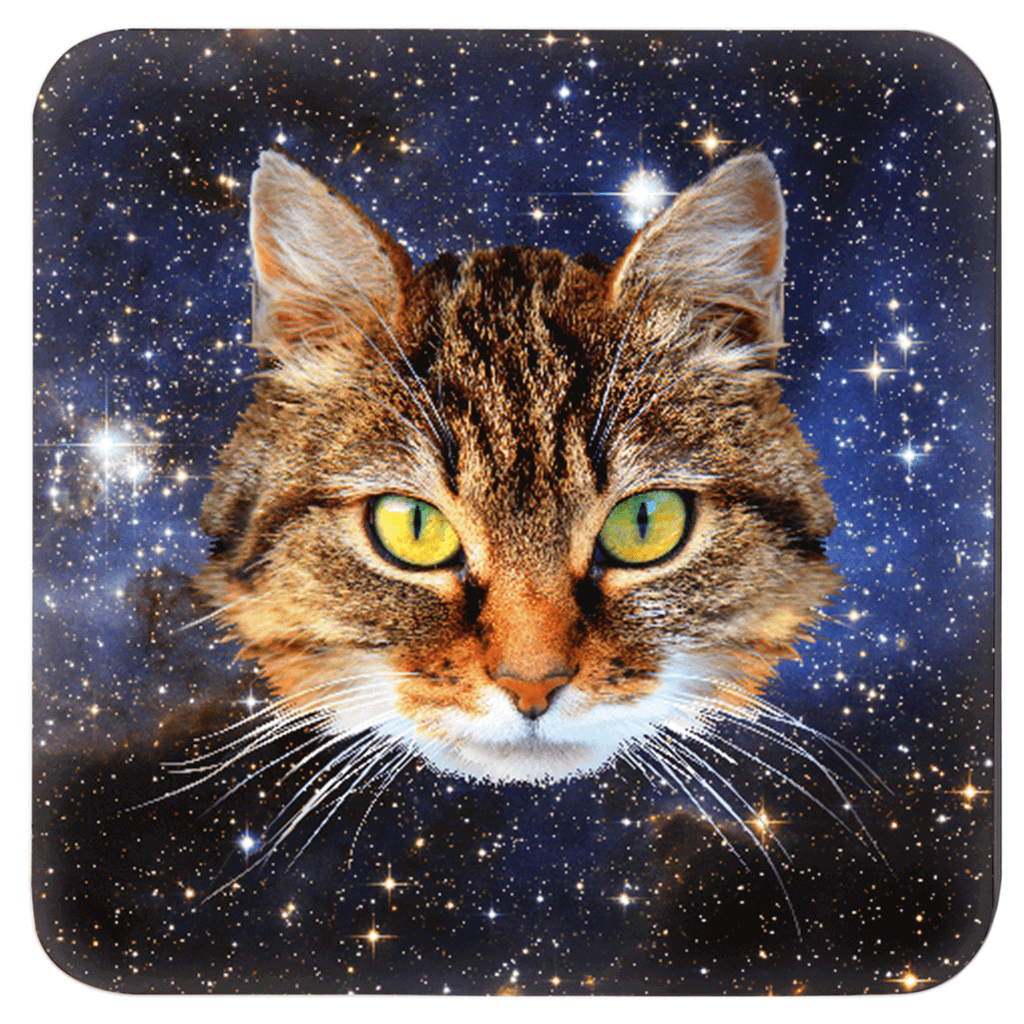 Cats in space coaster set of 4 with different cat face on each coaster.