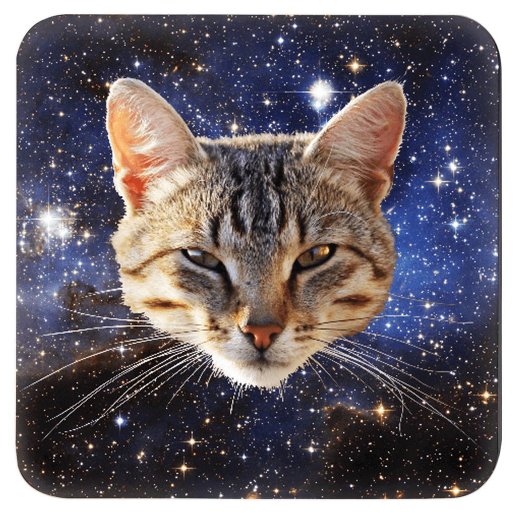 Cats in space coaster set of 4 with different cat face on each coaster.