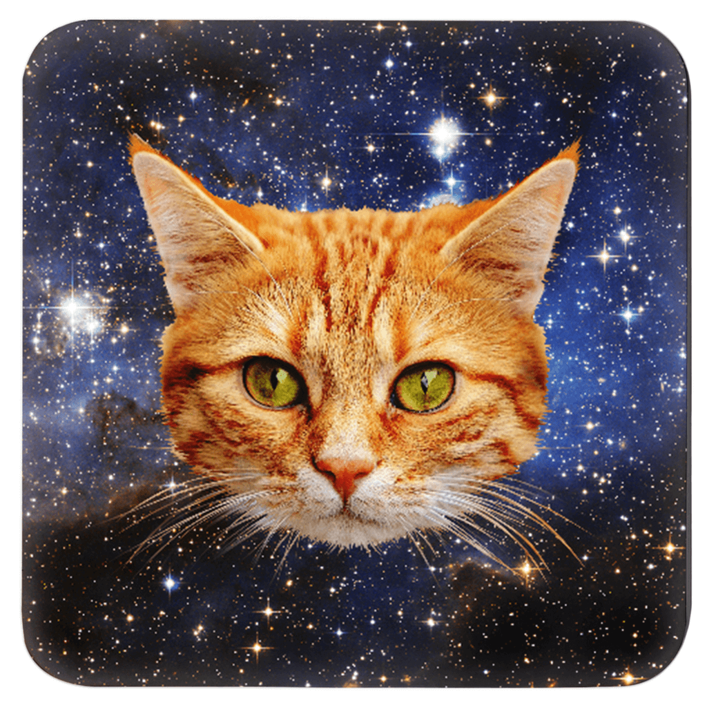 Cats in space coaster set of 4 with different cat face on each coaster.