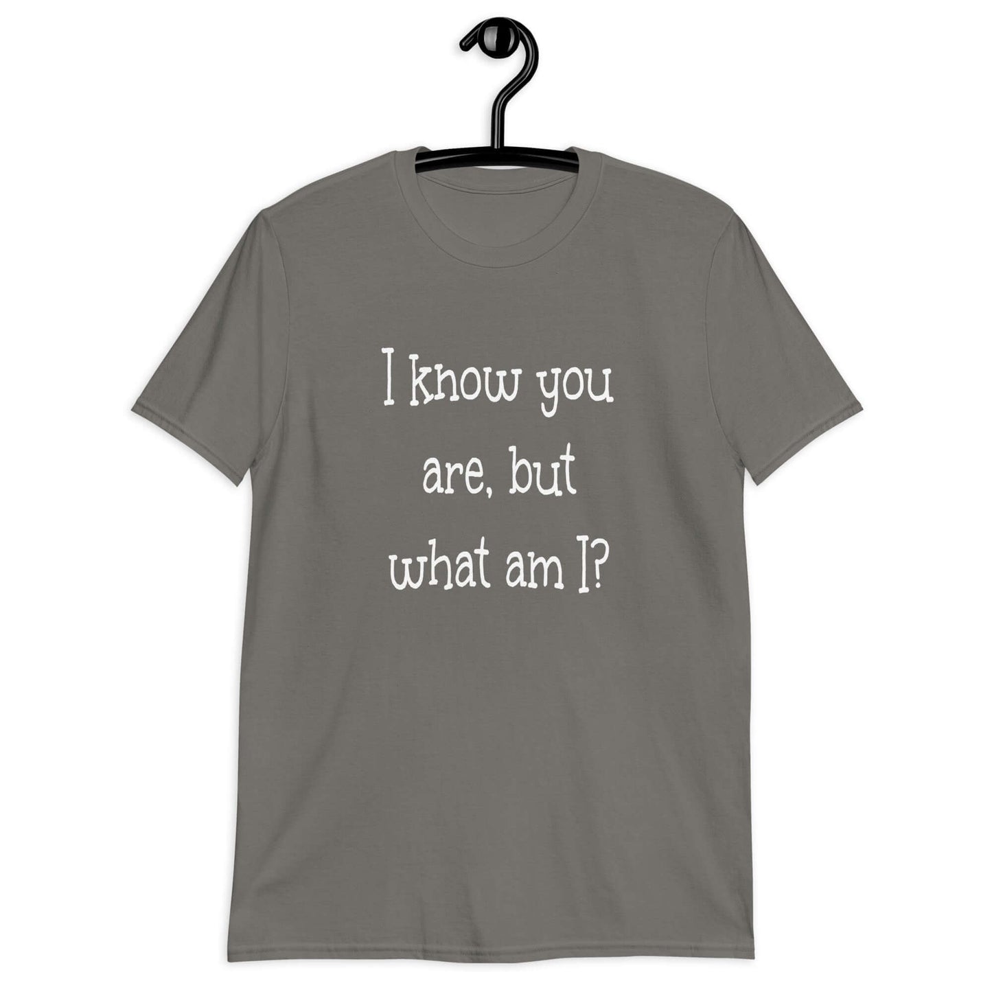 Charcoal grey t-shirt with the childish phrase I know you are but what am I with a question mark printed on the front.