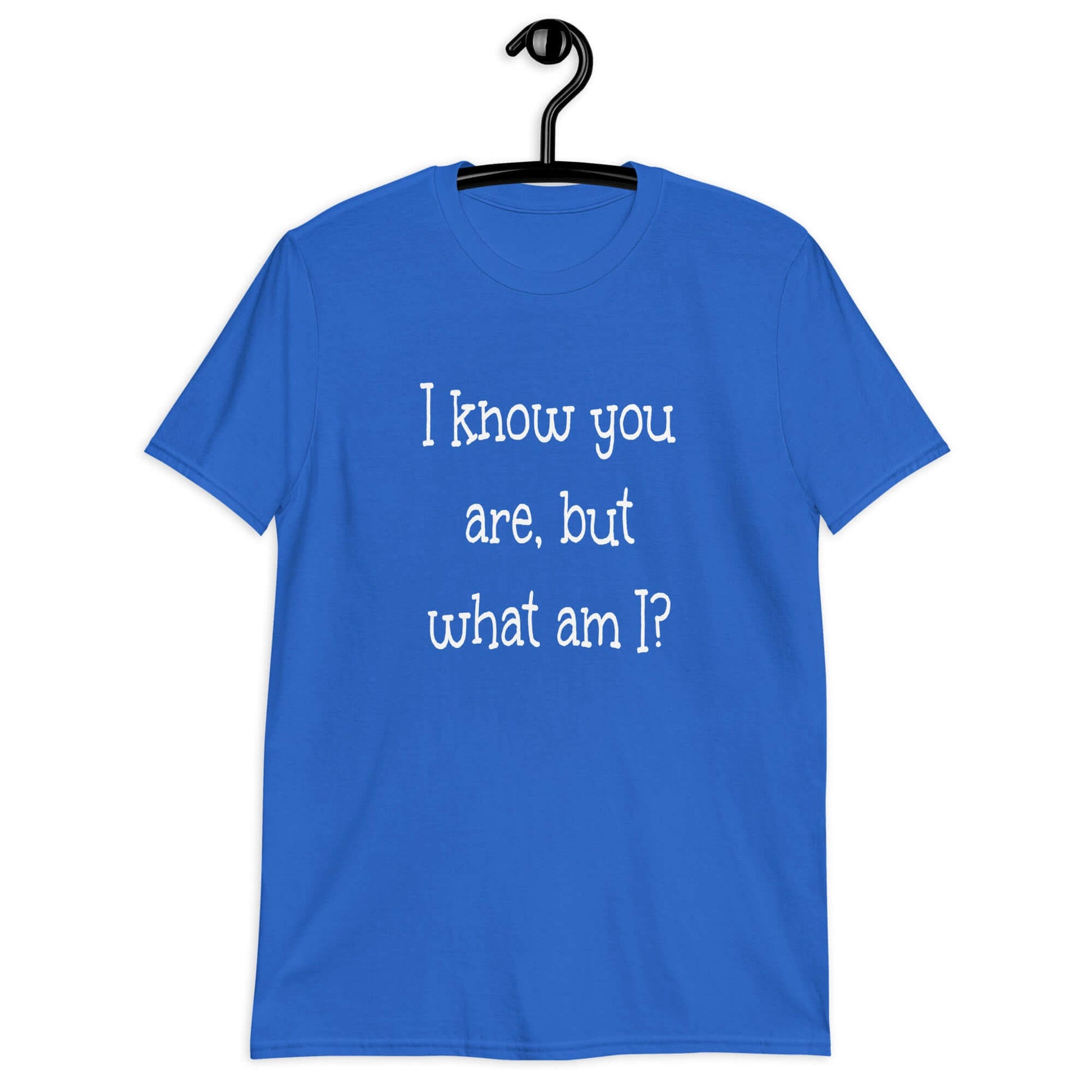 Royal blue t-shirt with the childish phrase I know you are but what am I with a question mark printed on the front.