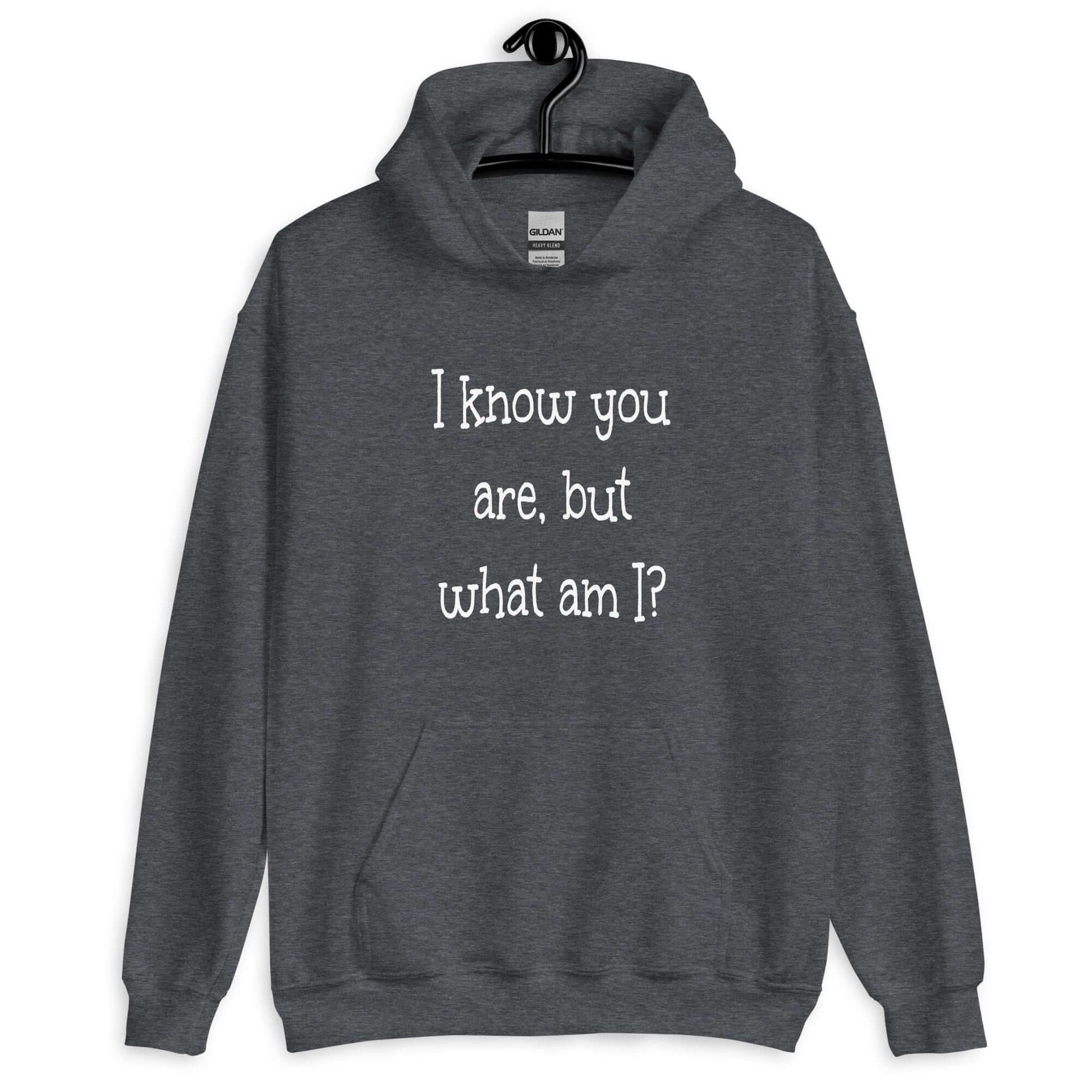 Dark heather hoodie sweatshirt with the childish phrase I know you are but what am I with a question mark printed on the front.