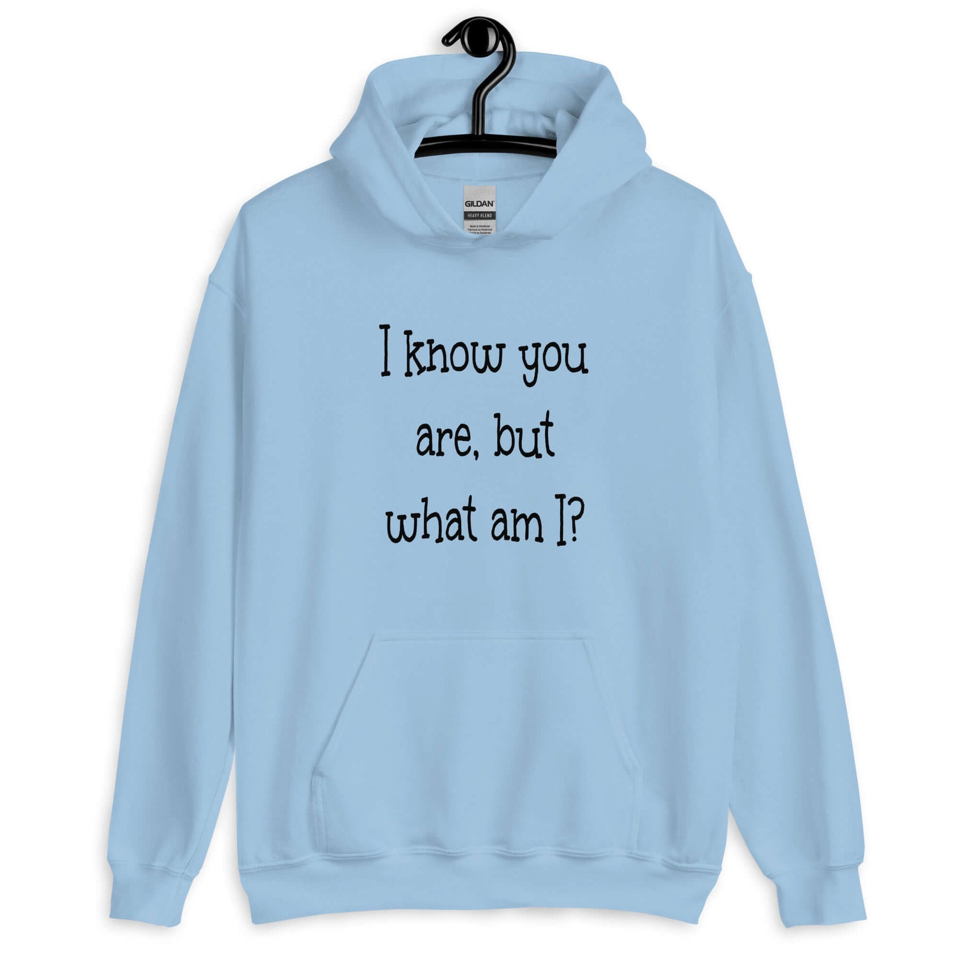 Light blue hoodie sweatshirt with the childish phrase I know you are but what am I with a question mark printed on the front.