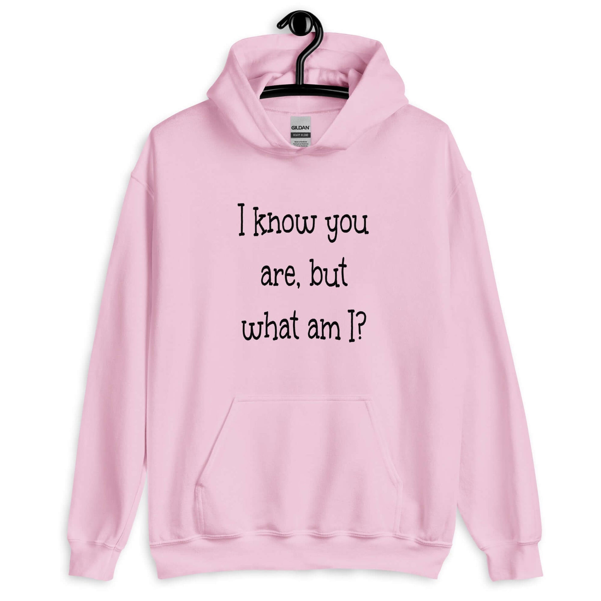 Light pink hoodie sweatshirt with the childish phrase I know you are but what am I with a question mark printed on the front.