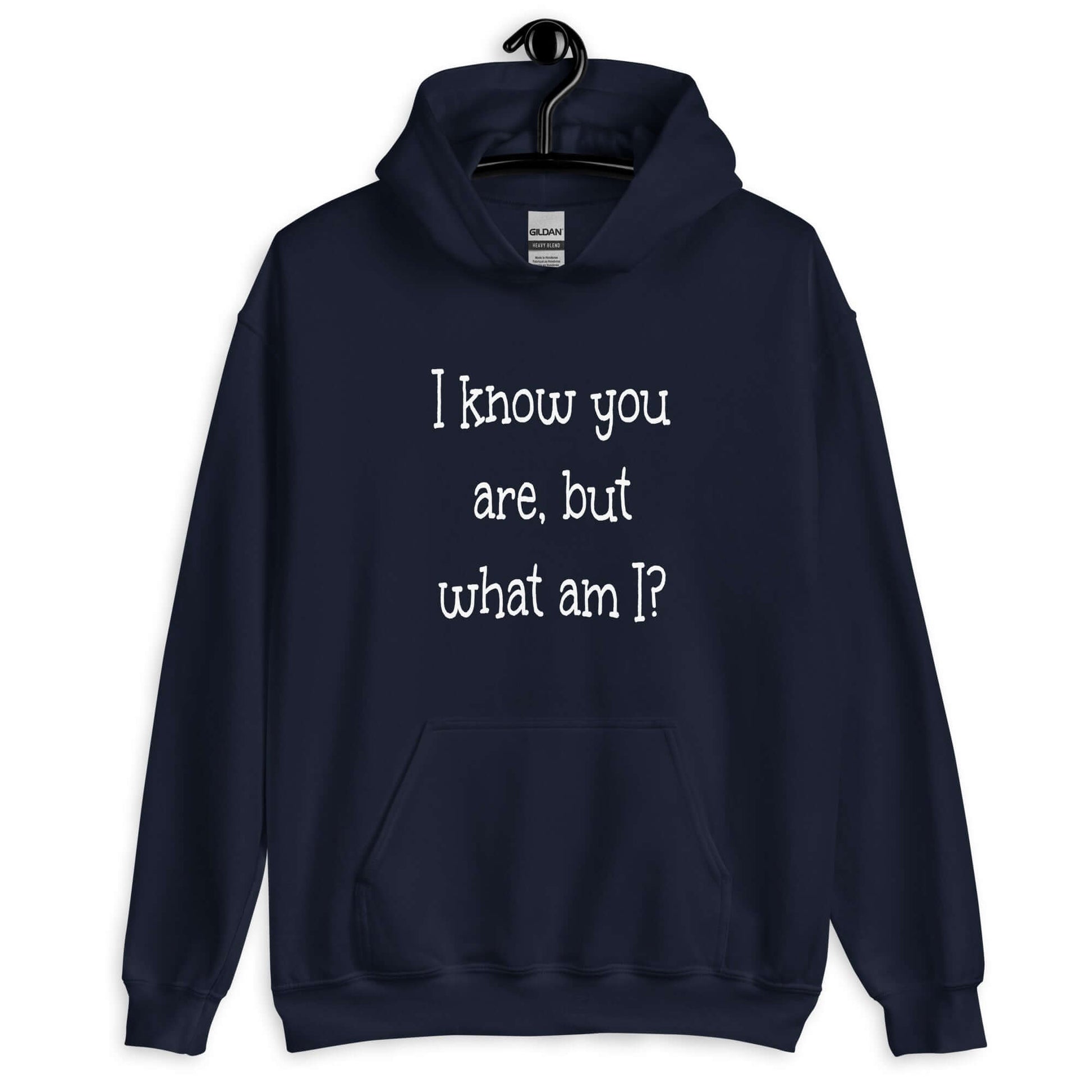 Navy blue hoodie sweatshirt with the childish phrase I know you are but what am I with a question mark printed on the front.