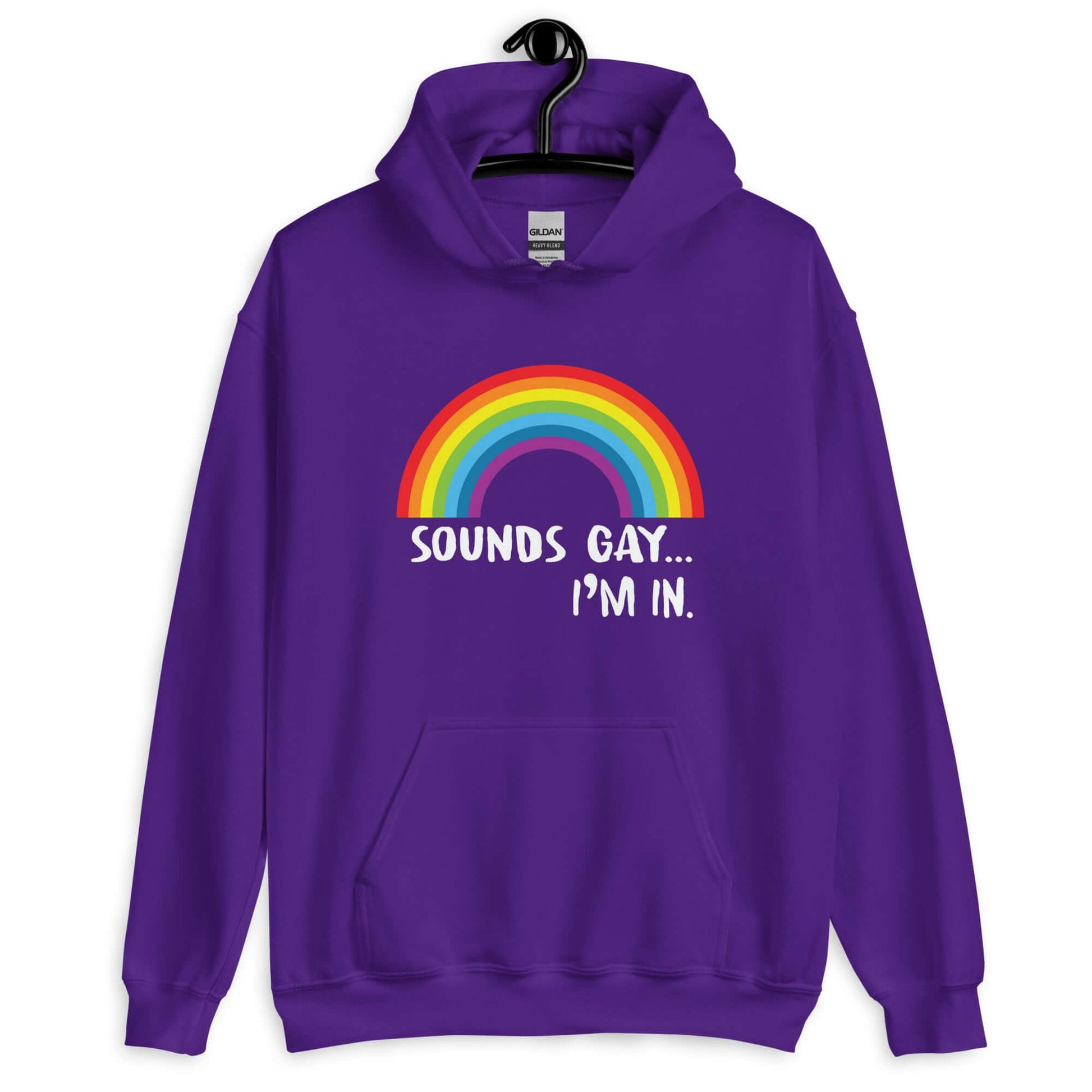 Purple hoodie sweatshirt that has an image of a rainbow and the phrase Sounds gay, I'm in printed on the front