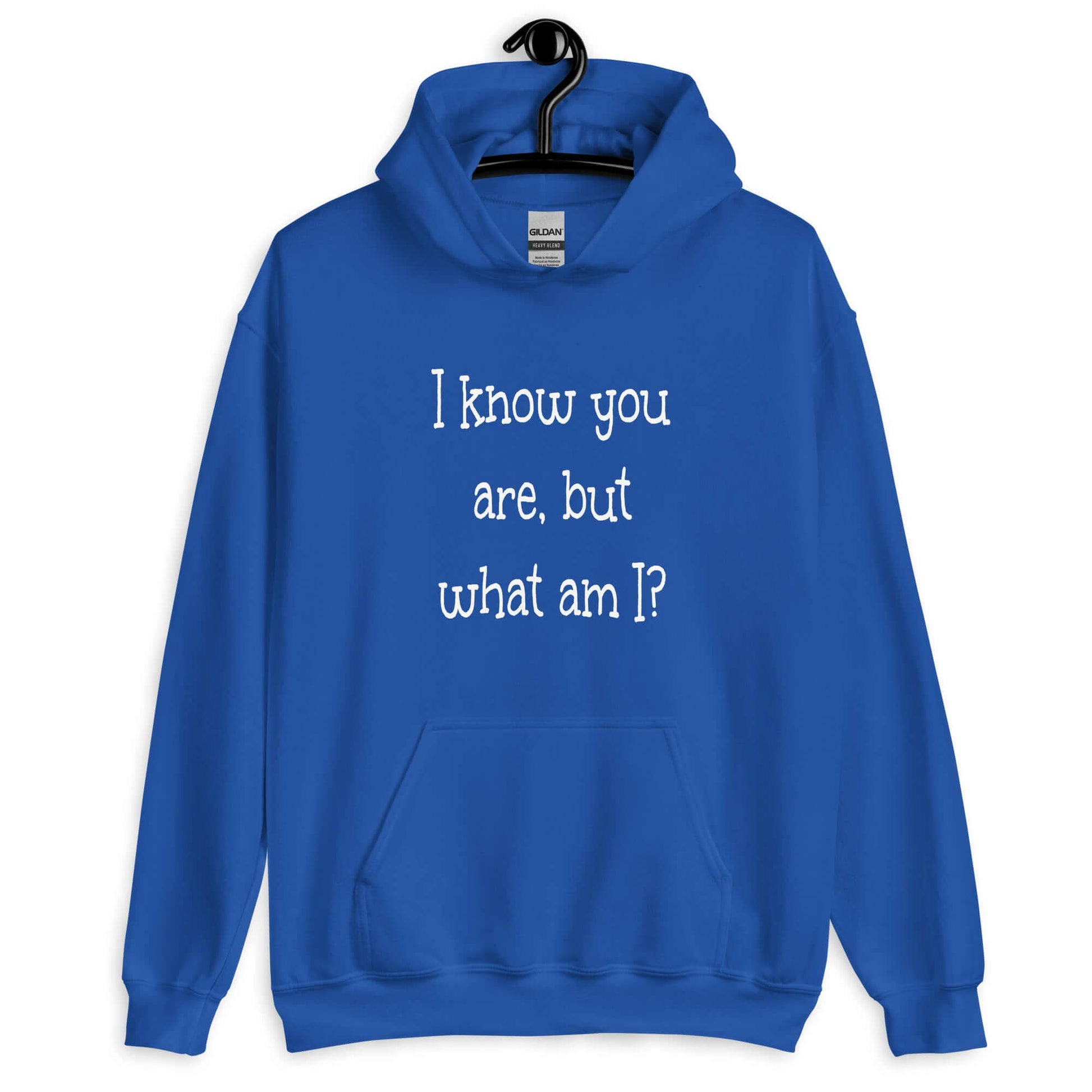 Royal blue hoodie sweatshirt with the childish phrase I know you are but what am I with a question mark printed on the front.