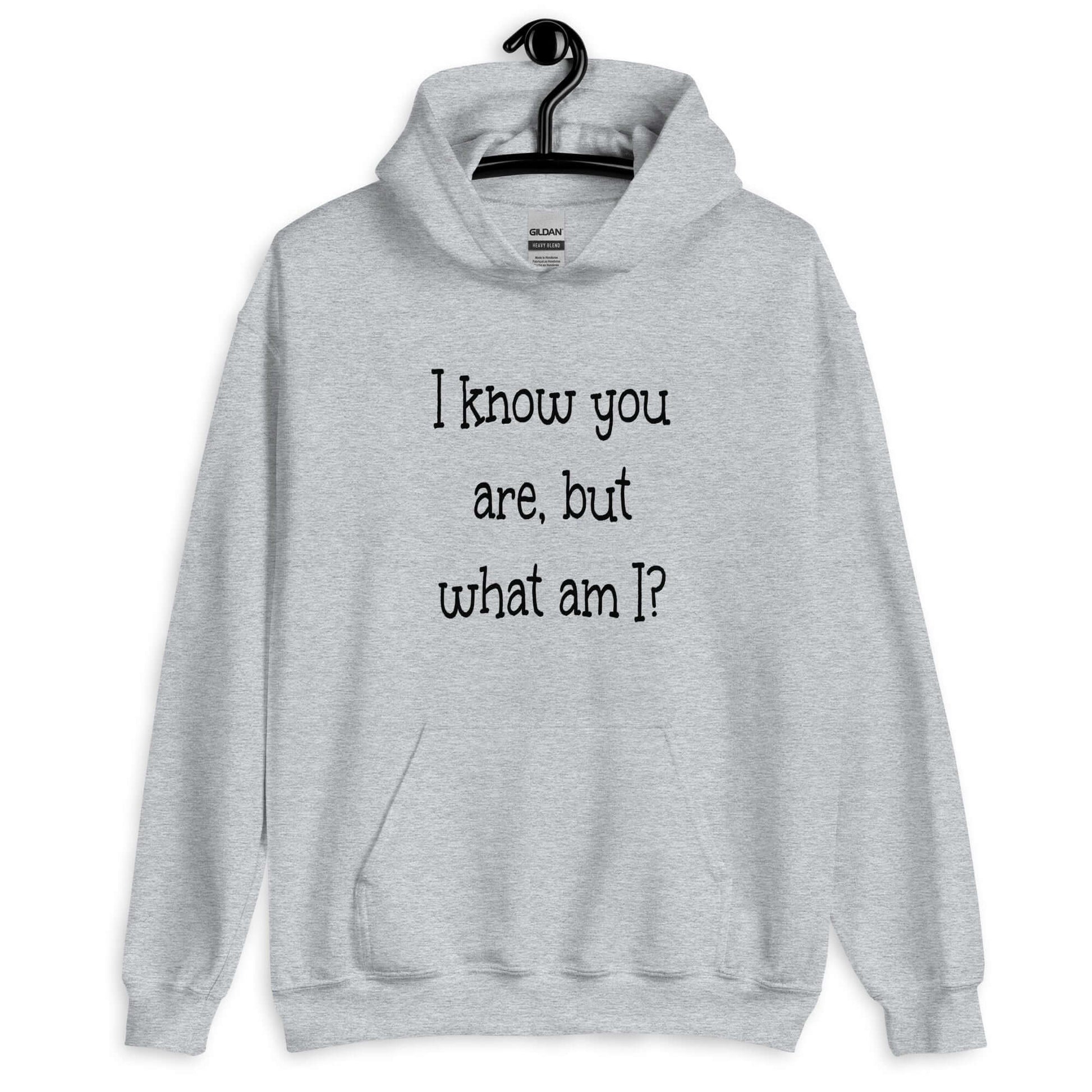 Sport grey hoodie sweatshirt with the childish phrase I know you are but what am I with a question mark printed on the front.