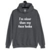 Dark heather grey hoodie sweatshirt with the text 'I'm nicer than my face looks' printed on the front.