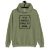 Military green hoodie sweatshirt with the phrase 'I'm so mentally stable, it's insane' printed on the front.