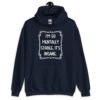 Navy blue hoodie sweatshirt with the phrase 'I'm so mentally stable, it's insane' printed on the front.