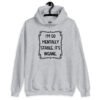 Sport grey hoodie sweatshirt with the phrase 'I'm so mentally stable, it's insane' printed on the front.