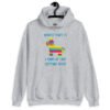 Sport grey hoodie sweatshirt with an image of a colorful donkey pinata with the words 'Worst part is I kind of like getting beat' printed on the front.