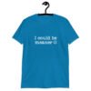 Sapphire blue t-shirt with the text 'I could be meaner' printed on the front.