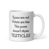 White ceramic mug with the text 'Roses are red Violets are blue This poem doesn't rhyme TESTICLES' printed on both sides.