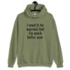 Military green hoodie sweatshirt with the text "I used to be married, but I'm much better now" printed on the front.