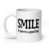 White ceramic mug with the text 'SMILE if you're a good boy' printed on both sides in black,